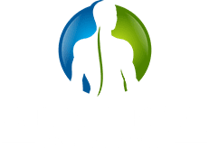 apex spine logo