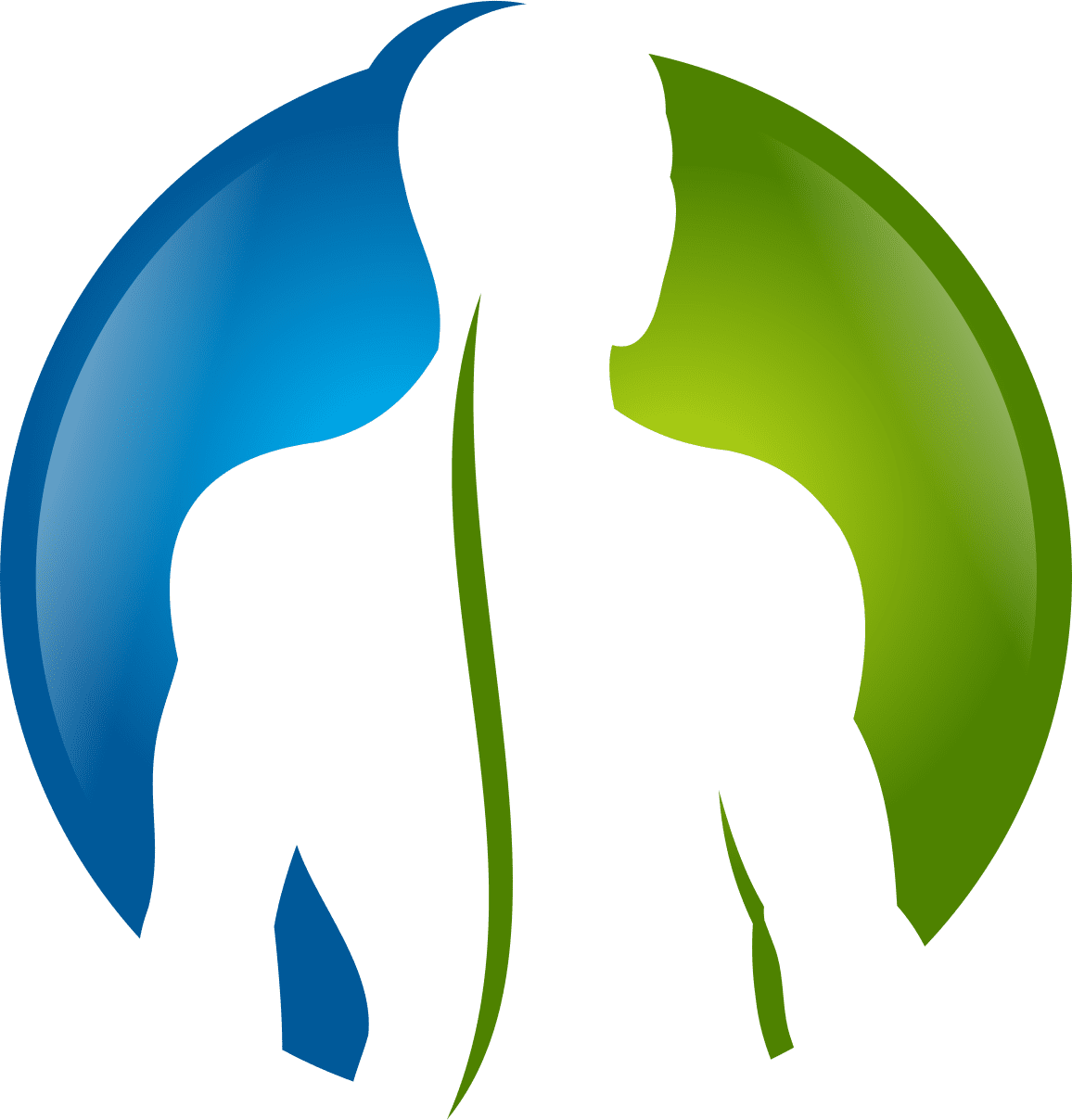 logo-ico-1 apex spine logo