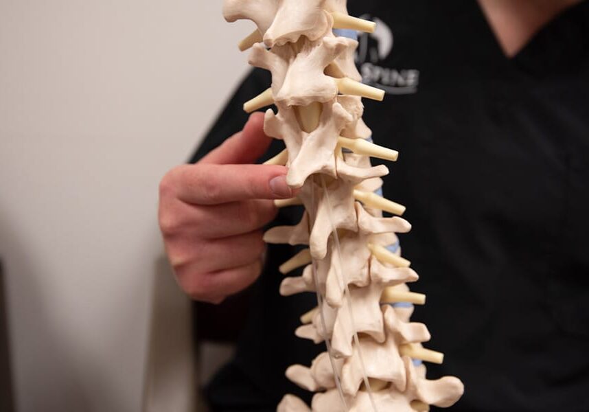 spine-close-up spine-close-up